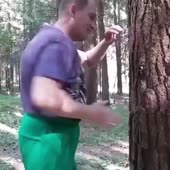 16276489119800.mp4