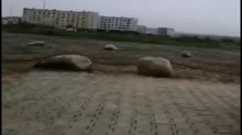 Задержание, обыск семейной пары из Колымы.mp4
