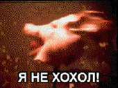 1749273787578.gif