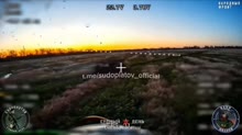 svinorez074.mp4