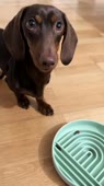 человек с гнильцой.webm
