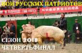 свинобойня.jpg