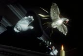 миссионер.webm