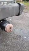 15133228350870.mp4