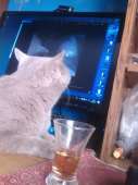IMG20171228114013.jpg