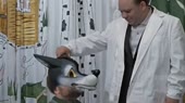 rusofobia.webm