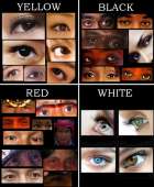 Diversity+is+being+white1592174999604.jpg