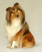 hcrgQUwsqNraIxbAq2j4HZP8S6YOOZhsjd2bZZ0FNja9ei3H0f2Ergd4dz9[...]