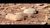 .webm