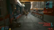 .mp4