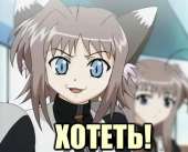 1368131055760.jpg