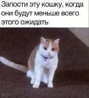 16682795037210.jpg