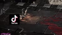 16600368650110.mp4