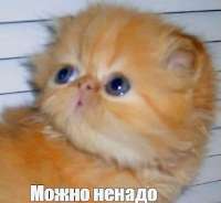 17420318350170.png