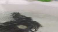 VID20250626032150.mp4
