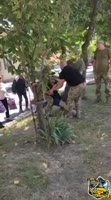 video2025-06-2604-08-51.mp4