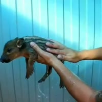 video2022-08-0820-03-45.mp4