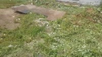 VID-20250626-115208.MP4