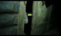 16033966030210.webm