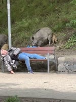 video2025-06-2623-42-00.mp4