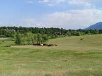 IMG20250626155821.jpg