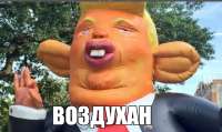 17526069881770.png
