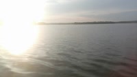 VID20250715195636.mp4
