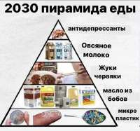 17525475783150.jpg