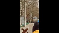 17527478744180.mp4