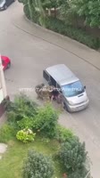 video2025-08-0619-14-36.mp4