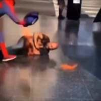 17420569878990.mp4