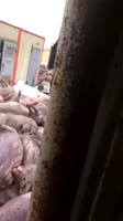 video2023-02-0719-56-14.mp4