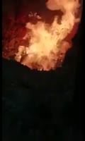 16033990413560.mp4
