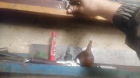VID20250825062120.mp4