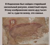 17561084912360.png