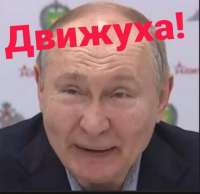 IMG8452.jpeg