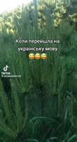 video2025-08-2611-54-24.mp4