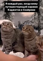 каджиты выживали.mp4