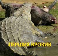 перших крокив.jpg