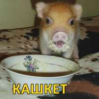 кашкет.jpg