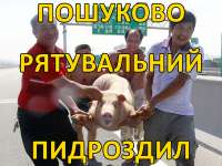 Пошуково рятувальний пидроздил.jpg