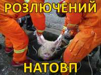 розлючений натовп.jpg