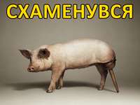 схаменувся.jpg