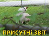 присутни звит.jpg