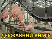 державний вимир.jpg