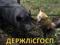 держлисгосп.jpg