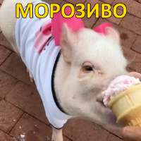 морозиво.jpg