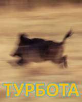 турбота.jpg
