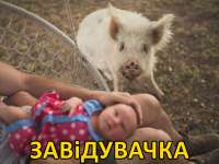 завидувачка.jpg
