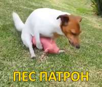 17492877667370.jpg